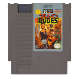 Bad Dudes