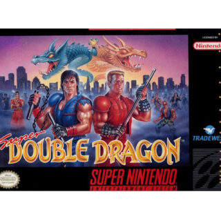 Super Double Dragon